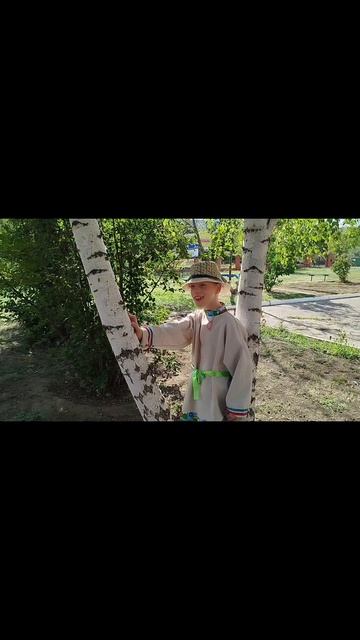 Степанченко Георгий, 11 лет. Н. М. рубцов "Берёзы"