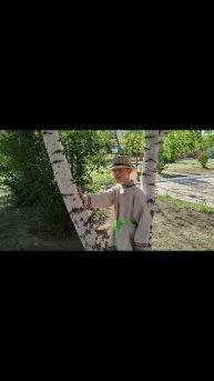 Степанченко Георгий, 11 лет. Н. М. рубцов "Берёзы"