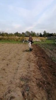 Убиратель картошки #картошка #картофельник #убираемкартошку #огород #садогород #деревня #помощник