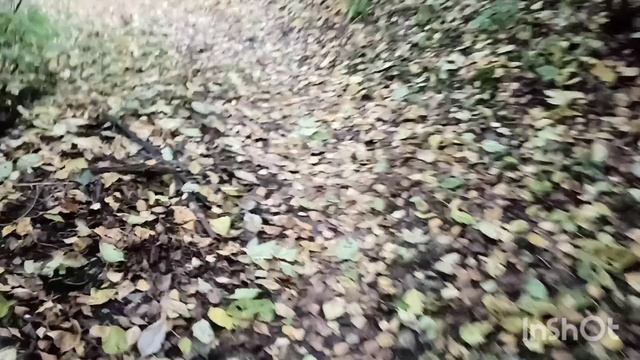 Что такое осень?
