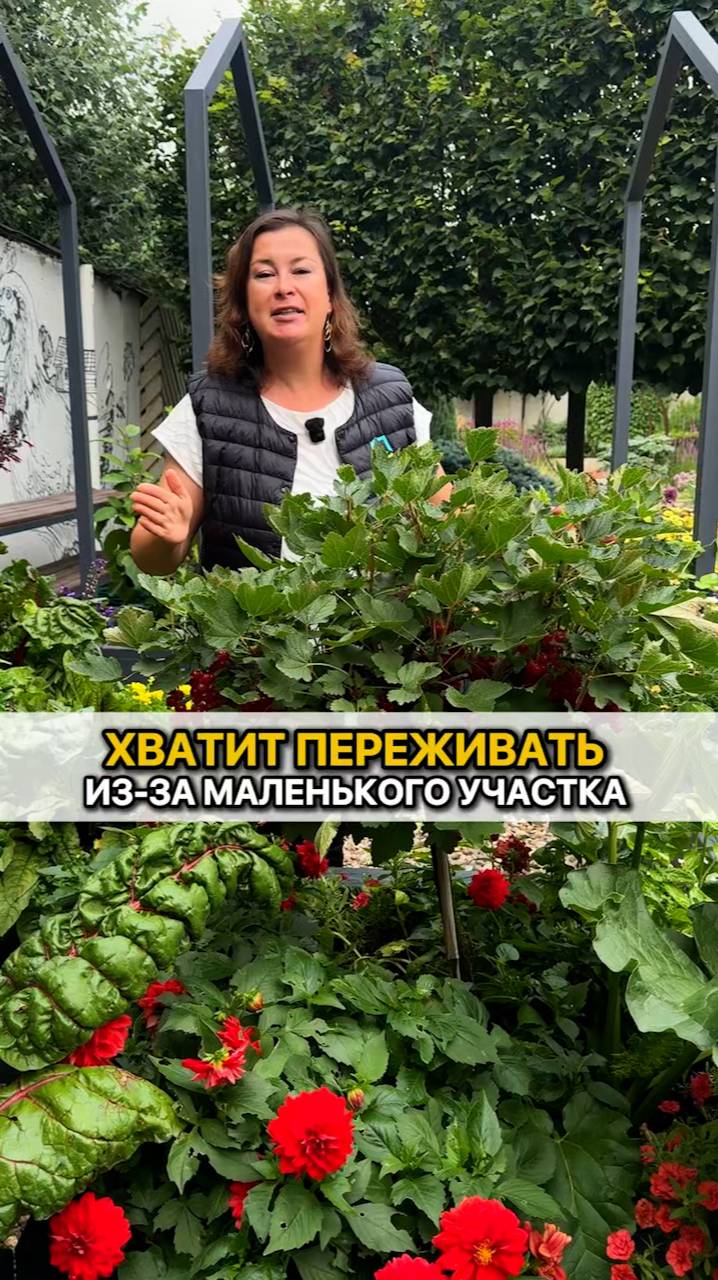 Не переживайте из-за маленького участка! Если сделать так, то места хватит на всё.