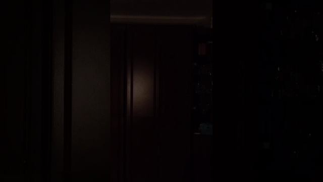 Яи моя Электрогитара и Синтезатор