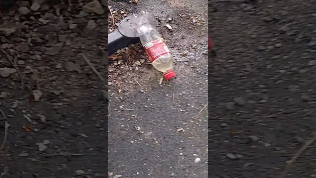 Уничтожаем с другом банку колы.