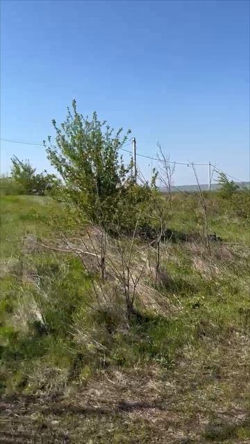 АНАПА‼️МОРЕ, ПРОДАЖА ЗЕМЕЛЬНОГО НЫХ УЧАСТКОВ👍