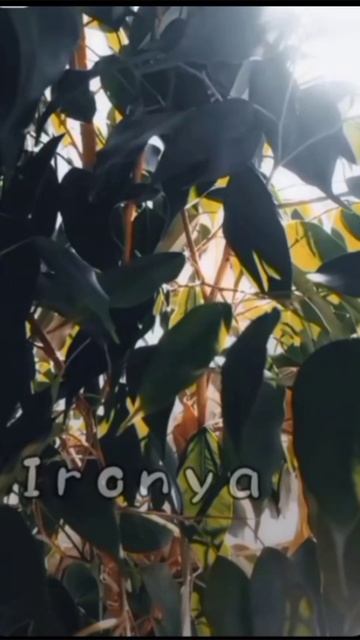 НЕТТТТ ПЕРВОЕ СЕНТЯБРЯЯЯЯ ПОАООААОАООААО НЕЕЕЕТ