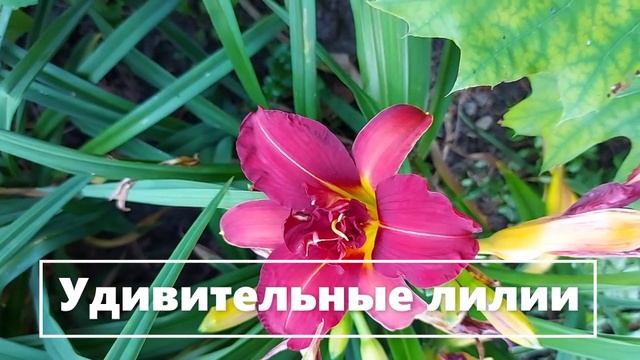 Это просто красиво. ;55 (7)