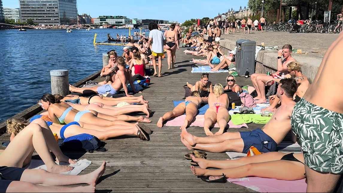 Прогулка по пляжу Амстердама Летняя пешеходная экскурсия по пляжу Нидерландов