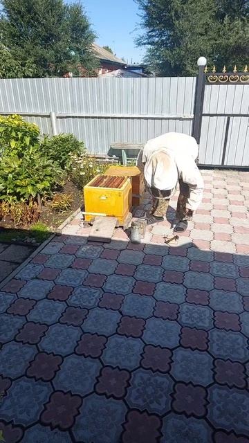 Качаем мед 2025.