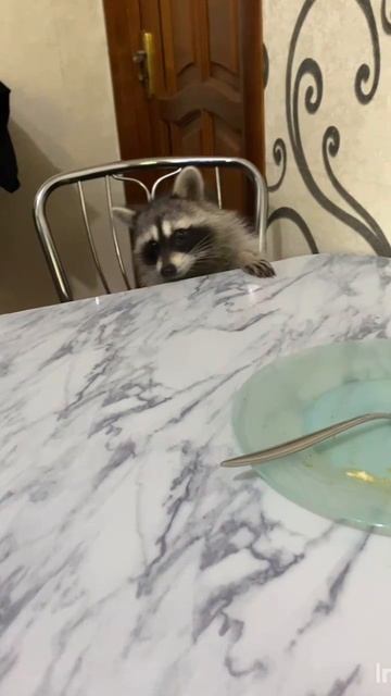 Мой телеграм канал 👆👆👆👆👆