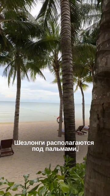 Пожить в старинном университете - теперь РЕАЛЬНО    Хотите попасть в другой мир? Тогда этот