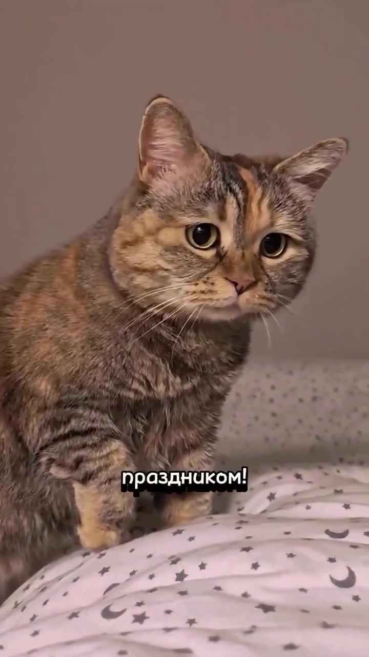 С 9 мая!🎖🎇