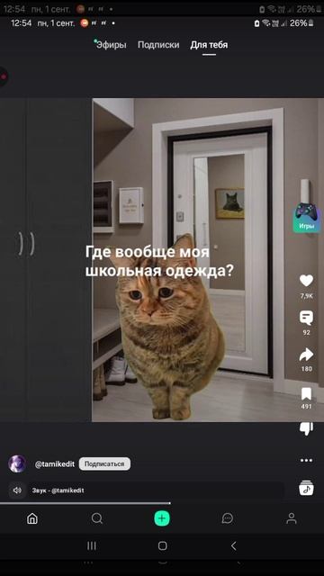 Пов: типичное 1 сентября