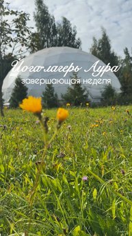 Йога-лагерь Аура в Ярославской области🌳