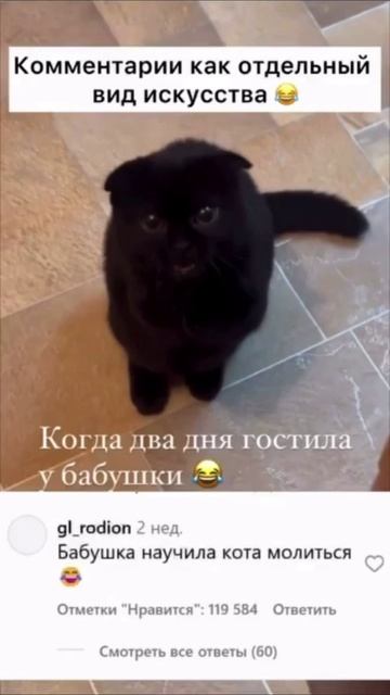 комментарии как отдельный вид искусства #yappy #yappi #смех #настроение #прикол #улыбка #коммент #ко