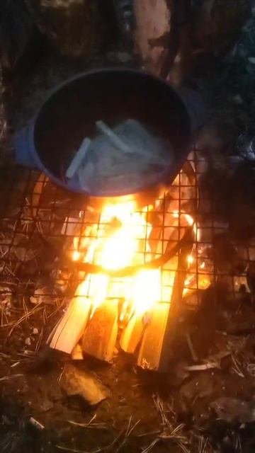 Сплав Тайга по реке Рудиковка Готовим Картошку Фри в Тайге на костре Рыбалка Охота Сибирь 2025