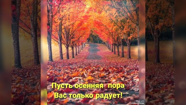 Здравствуй Золотая Осень