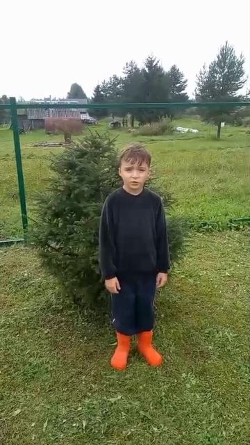 Зибряков Юрий, 8 лет. Н. М. Рубцов "Про зайца"