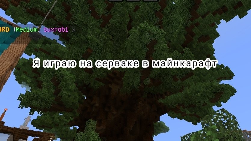 Играю на сервере 2
