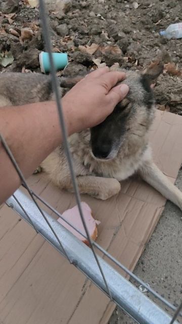 Как всегда, меня встречает молодая, ласковая, культурная и умная красавица.