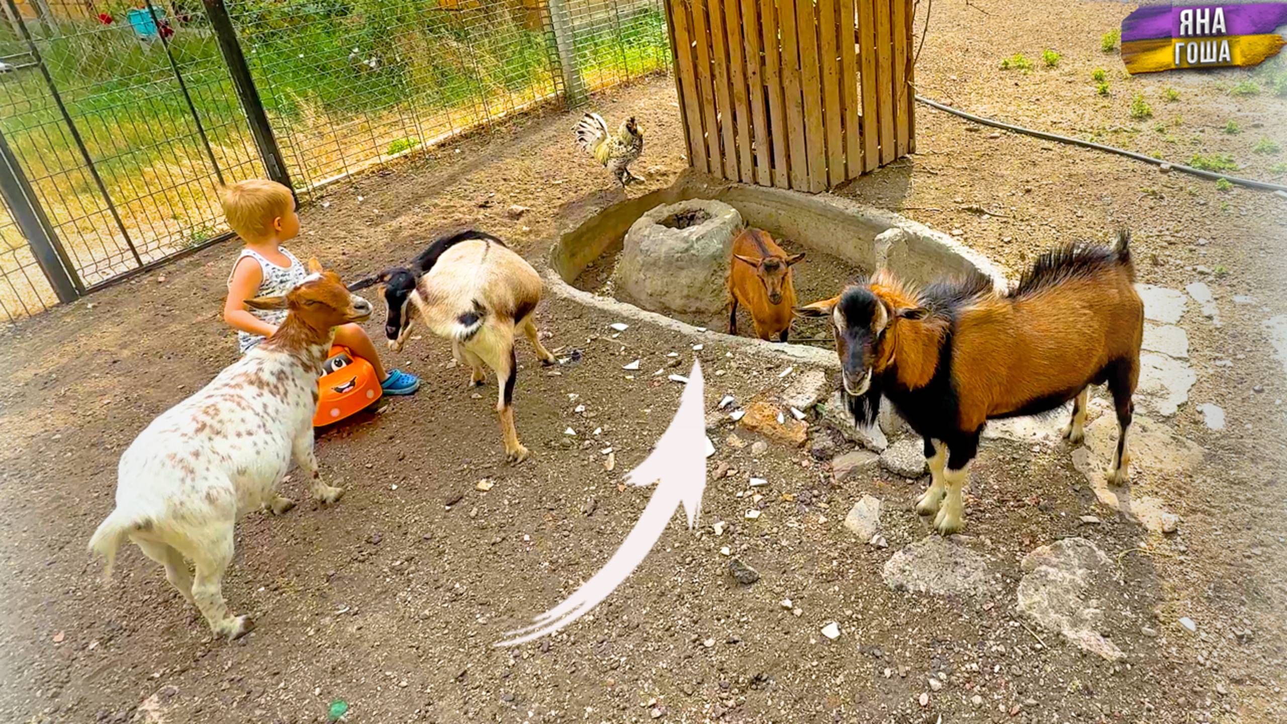 Здесь СЛУЧИЛОСЬ СТРАШНОЕ! Пришло время рассказать Вам грустную историю!