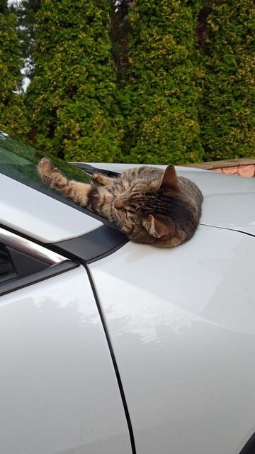 тебе так удобно?