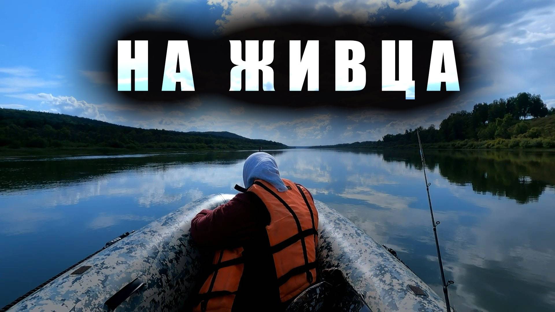 Ловим щук на самоловки