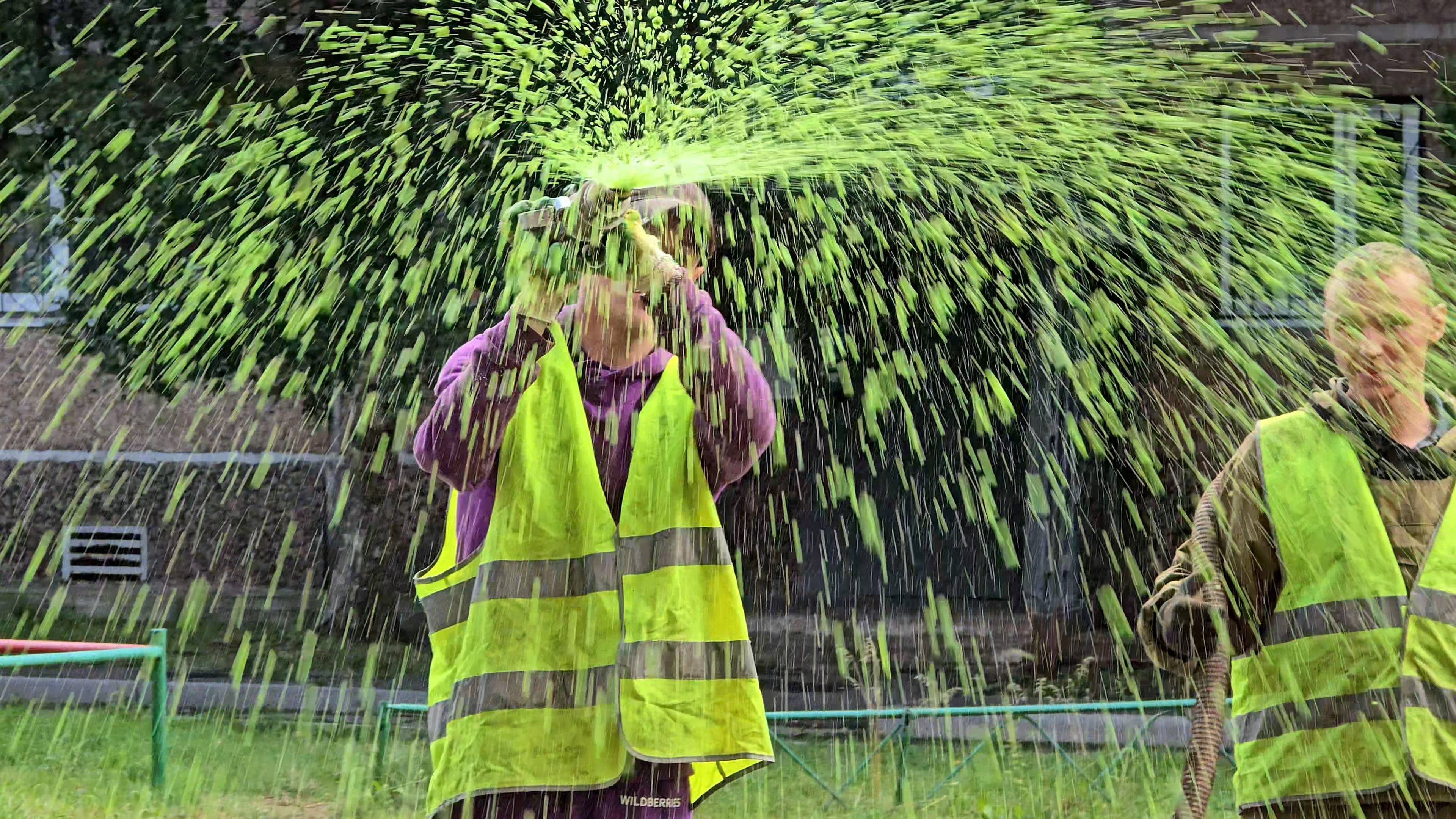 Зеленый ковер высаживают на придомовых территория