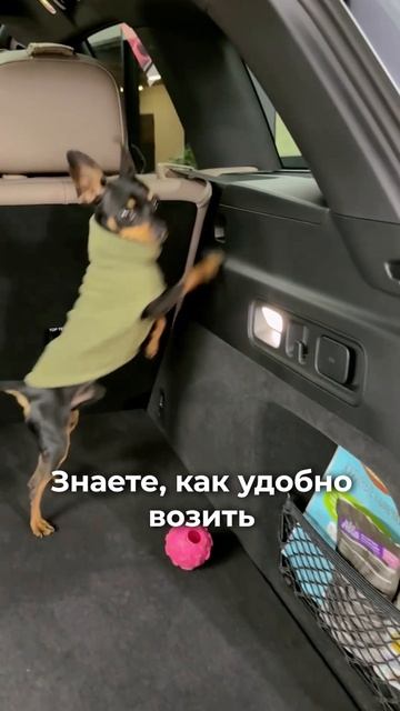 ❓ Кому нужен просторный багажник
Нет, не только вам для покупок и чемоданов🧳