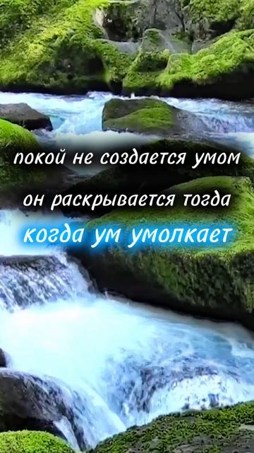 покой не создаётся умом. он раскрывается тогда, когда ум умолкает