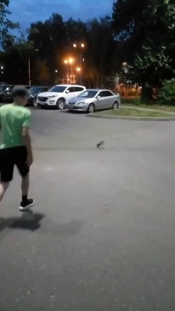вот так хабощ бабощ #mem