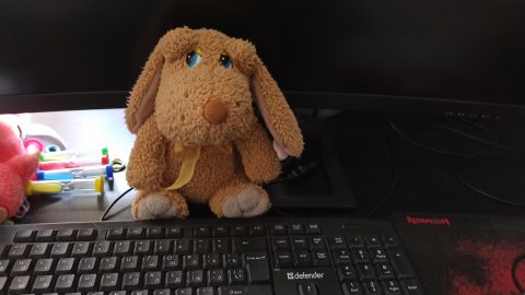 играю и отдыхаю