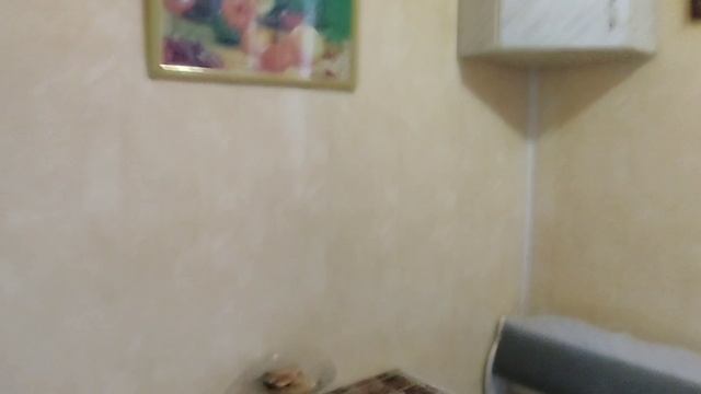 1000203454.mp4