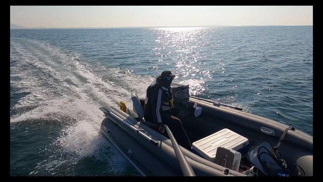 Держи КРАБА