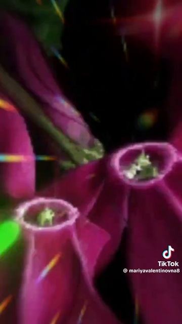 video_10379807561135.mp4