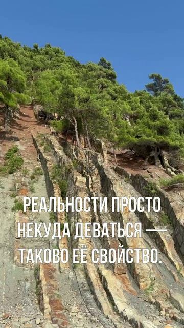 Кто владеет инициативой - тот владеет реальностью #shorts #трансерфинг #зеланд #скалапарус