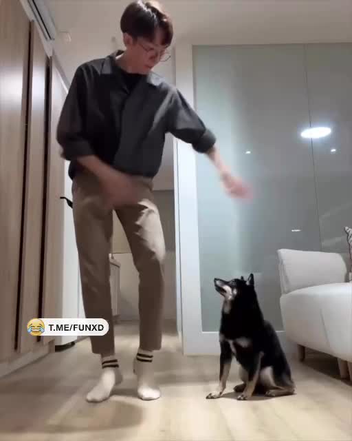 Учим собакена танцевать😆