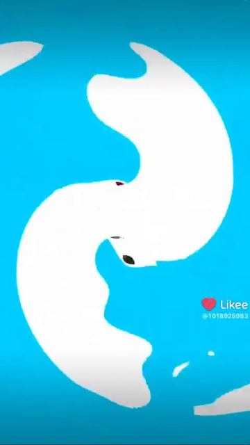 video_9380600091939.mp4