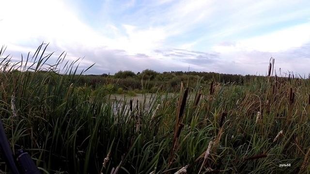 Зачётная охота с подхода и Вечерка на утку