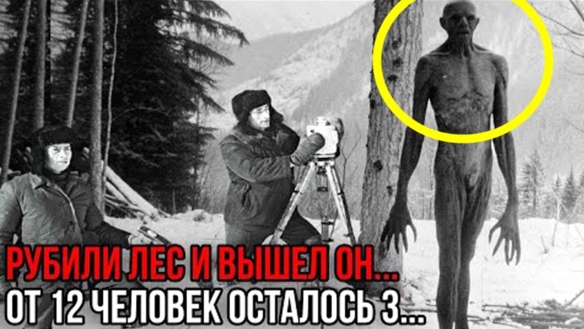  ЧЁРТ из под земли ВЫШЕЛ к Артельщикам в тайге ...