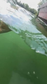 Щука атакует 🎣