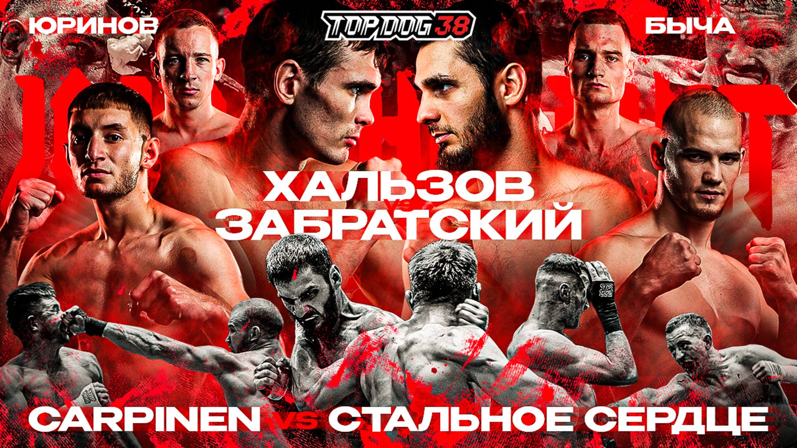 Хальзов VS Забратский, Carpinen VS Стальное Сердце, Юринов VS Быча | TOP DOG 38, Казань