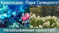 Краснодар, парк Галицкого/ Новая локация "Кроличья нора"/Незабываемое впечатление/