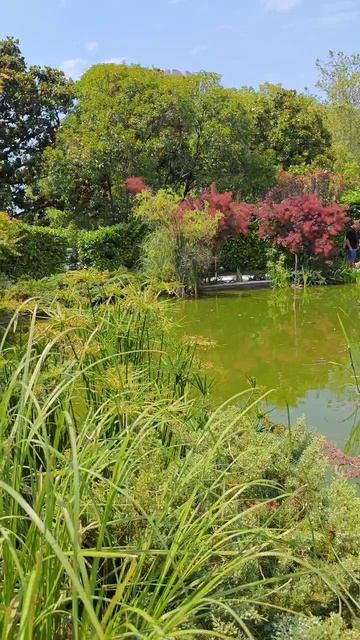 черепашье болото в Сочи