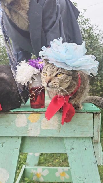 Пискунчик поблагодарил Елену и Марсика за подарок 🎁🙏❤️ купил себе портфельчик и побежал в школу 🏢