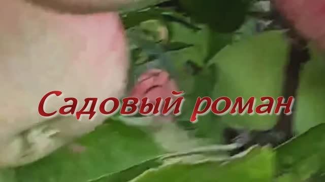 Садовый роман... Стихи Розалии Мартысь. Музыка  и вокал Николая Жукова. Клип Валентины Зубковой.