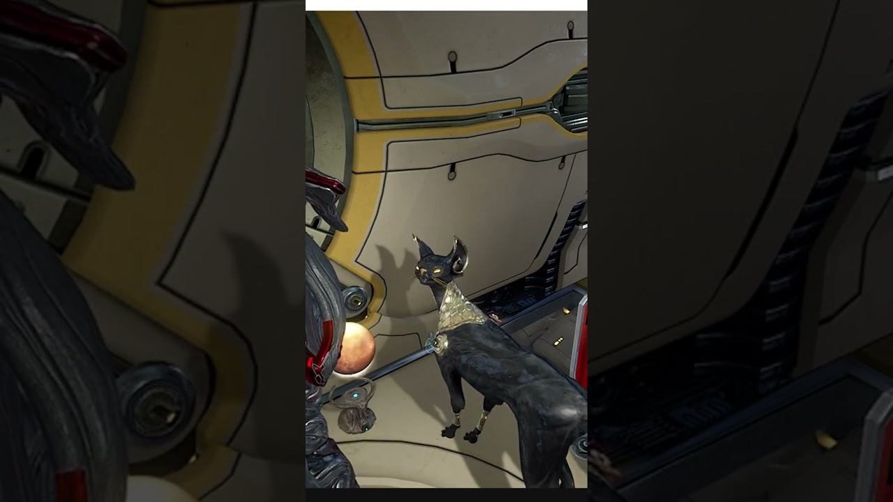 Warframe аномалия. это нормально?