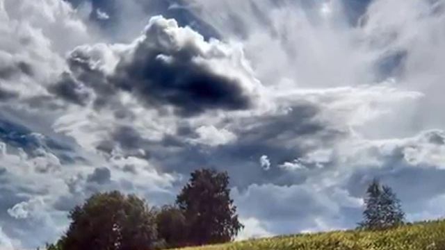1000062093.mp4