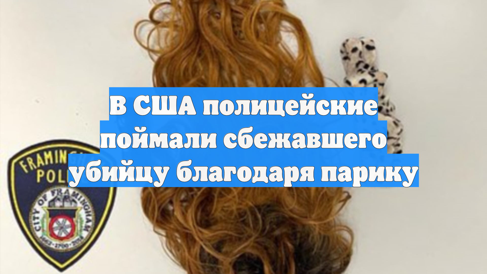 В США полицейские поймали сбежавшего убийцу благодаря парику