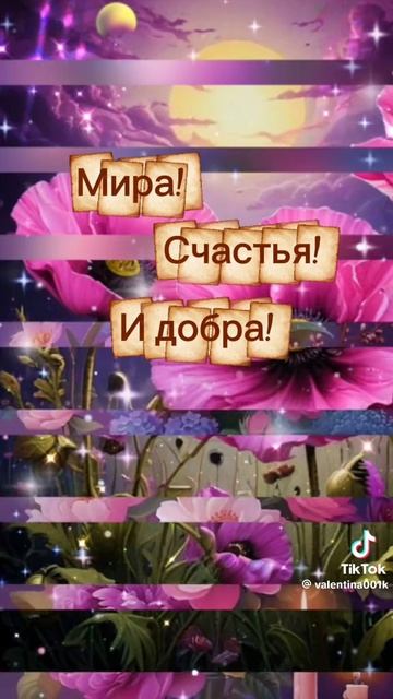 video_10606988498415.mp4