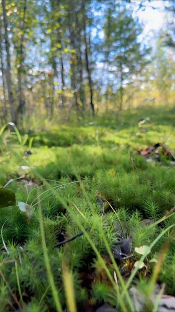 Просто интересный ракурс